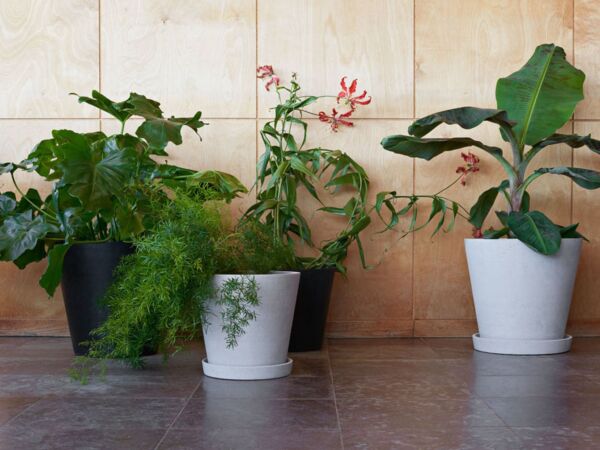 5_Flowerpot with saucer grey_Flowerpot with saucer black.jpg