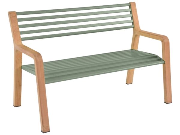 2_Cactus-BANC.jpg