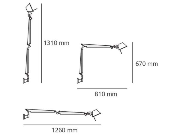 3_tolomeo_parete_silhouette.jpg
