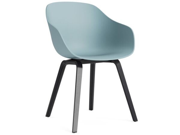 2_AC110-D162-AA51_AAC 222 dusty blue 2.0 shell_black wb lacquer oak base.jpg