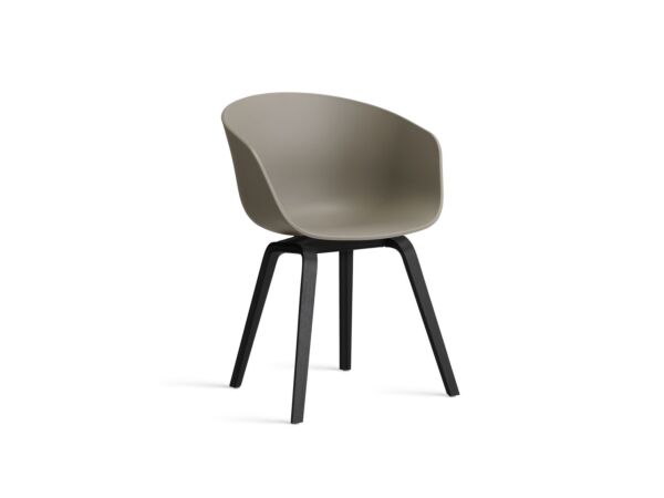 2_AA205-D153-AA51_AAC 22 khaki 2.0 shell_black wb lacquered oak base.jpg