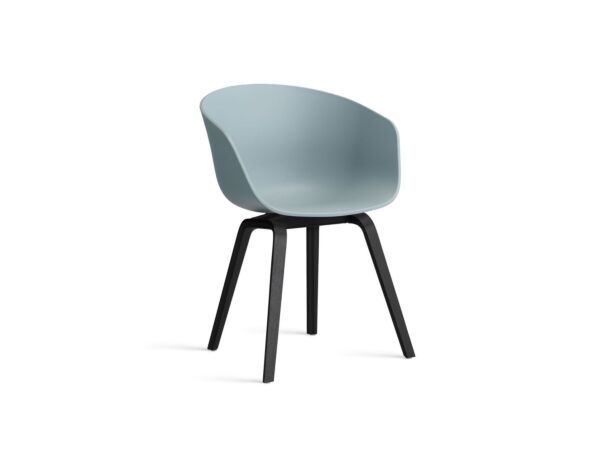 2_AA205-D162-AA51_AAC 22 dusty blue 2.0 shell_black wb lacquered oak base.jpg