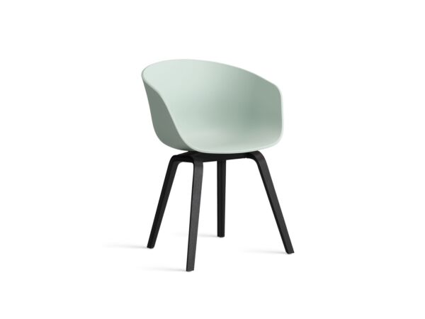 2_AA205-D141-AA51_AAC 22 dusty mint 2.0 shell_black wb lacquered oak base.jpg
