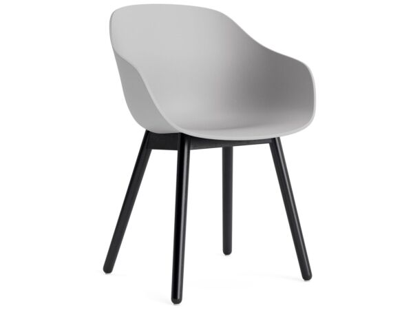 2_AC086-D165-AA51_AAC 212 concrete grey 2.0 shell_black wb lacquer oak base.jpg