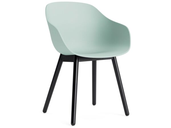 2_AC086-D141-AA51_AAC 212 dusty mint 2.0 shell_black wb lacquer oak base.jpg