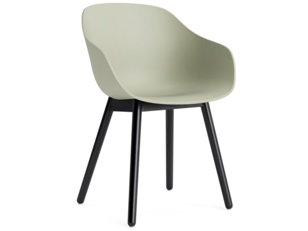2_AC086-D150-AA51_AAC 212 pastel green 2.0 shell_black wb lacquer oak base.jpg
