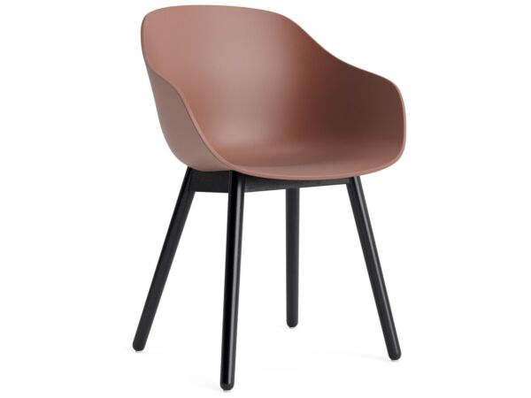 2_AC086-D147-AA51_AAC 212 soft brick 2.0 shell_black wb lacquer oak base.jpg