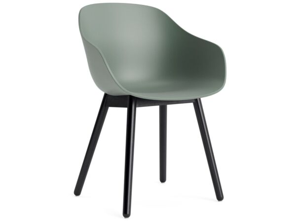 2_AC086-D144-AA51_AAC 212 fall green 2.0 shell_black wb lacquer oak base.jpg