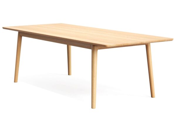 2_zZeitraum_E8_Oak_02.jpg