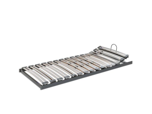 1_bico-swing-flex-a-lattenrost-cut.jpg