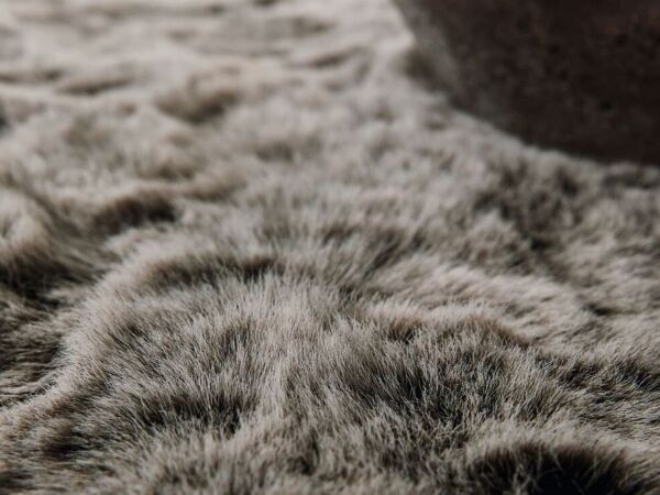 5_anstoetz-flooring-furry-fellows-racoon.jpg