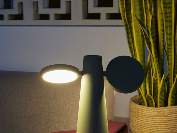 5_CACTUS_CHAUD_LYON_VISUELS2023_SEBASTIEN_EROME.jpg
