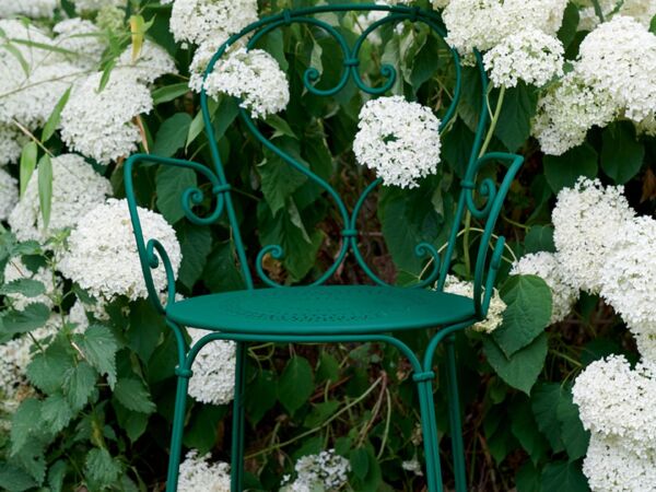 5_VERT_CEDRE_ENGLISHMAN_ALBUM2019_SEBASTIEN_EROME_1.jpg