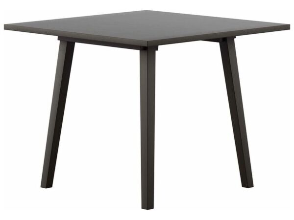 2_Tisch_90x90_HG_100_Buche_ebony_1.jpg