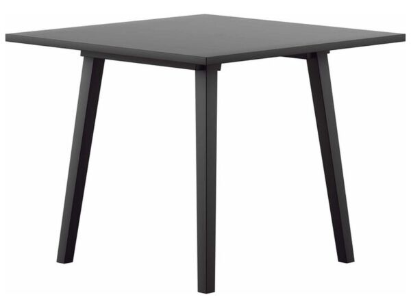 2_Tisch_90x90_HG_203_Buche_schwarz_1.jpg