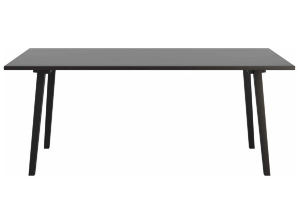 2_Tisch_90x200_HG_100_Buche_ebony.jpg