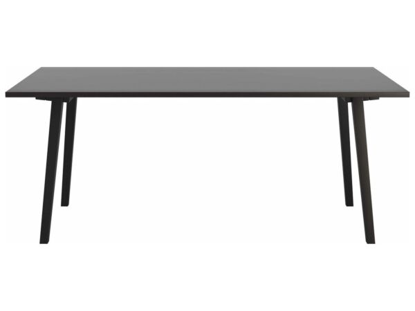2_Klapptisch_HG_100_Buche_ebony.jpg