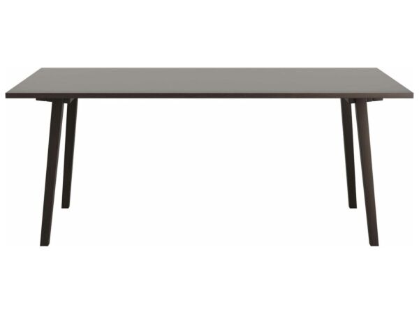 2_Klapptisch_HG_110_Buche_wenge.jpg