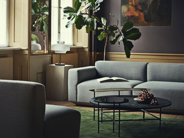 5_Tradition_Develius-2-Sitzer-Sofa-220x70x89cm_1432x1432-ID1945843-b801cb180232417d549be2e9077c216e.jpg