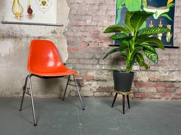 5_Eames Plastic Side Chair.jpg