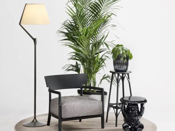 5_ANGELO_STONE_CARA.jpg