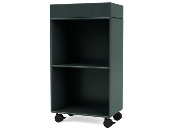 2_Montana_Selection_PREPPY_StorageModule_163 Black Jade_Perspective.jpg