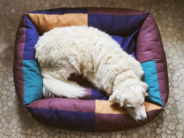5_HAY Dogs Bed L burgundy and green.jpg
