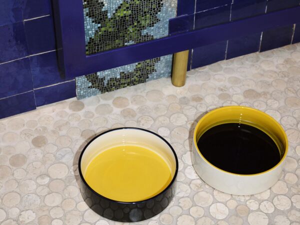 5_HAY Dogs Bowl L blue and yellow and off-white_yellow and blue and off-white 01.jpg