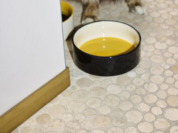 5_HAY Dogs Bowl L blue and yellow and off-white_yellow and blue and off-white 02.jpg