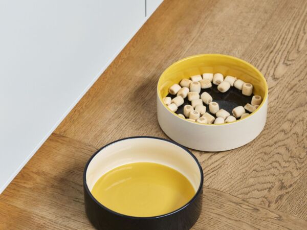 5_HAY Dogs Bowl L blue and yellow and off-white_yellow and blue and off-white.jpg