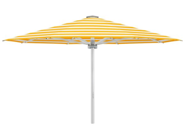 1_yellow.jpg