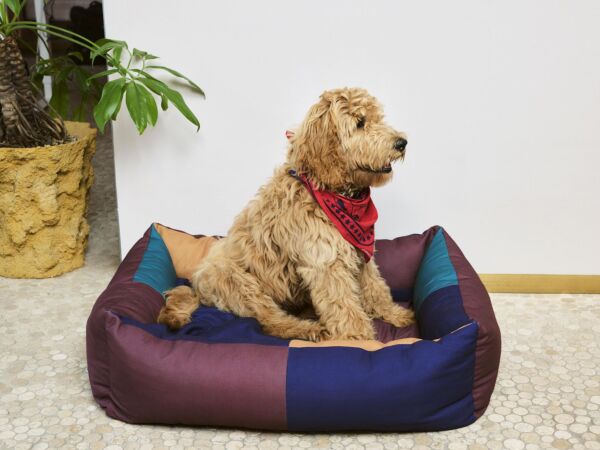 5_HAY Dogs Scarf red.jpg