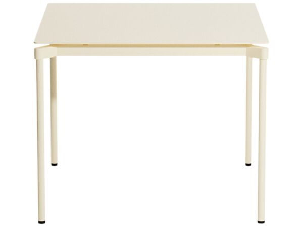 2_ivory.jpg