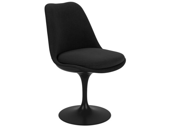 2_Black Onyx.JPG
