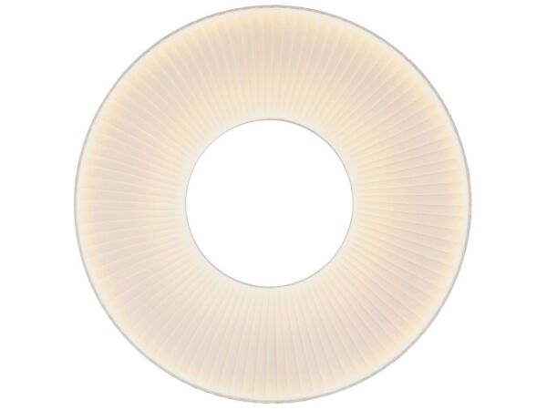1_iris-w-80-qnt28k0s4c2s462vdugslmjqwencn0n0ihavgd976g.jpg