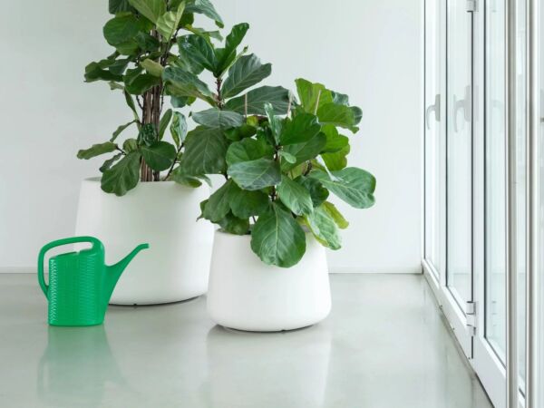 5_tubby_plant-pot_ambient_group_AC730_AC732_white_01_1.jpg