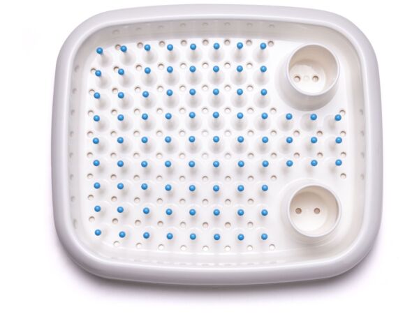 2_zdishdoctor_product_top_AC22_white_blue_01.jpg