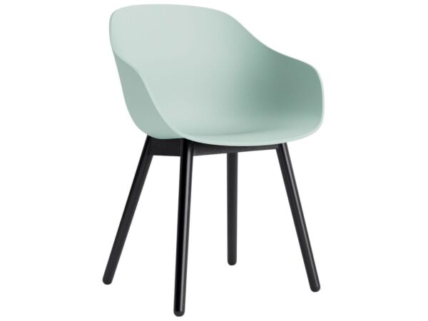 2_AC086-D141-AA51_AAC 212 dusty mint 2.0 shell_black wb lacquer oak base.jpg