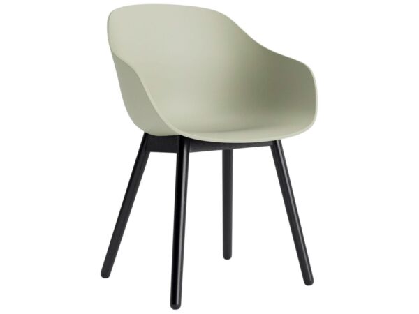 2_AC086-D150-AA51_AAC 212 pastel green 2.0 shell_black wb lacquer oak base.jpg