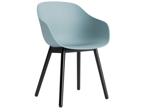2_AC086-D162-AA51_AAC 212 dusty blue 2.0 shell_black wb lacquer oak base.jpg