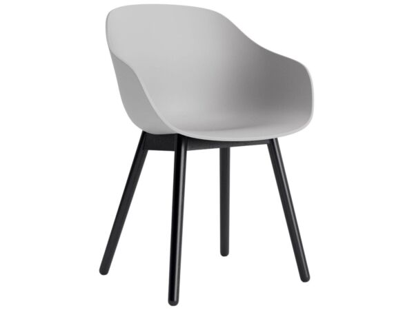 2_AC086-D165-AA51_AAC 212 concrete grey 2.0 shell_black wb lacquer oak base.jpg