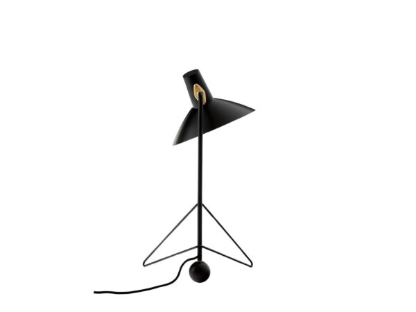 2_zBlack_Back_light.jpg