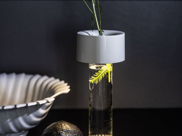 5_fleur lampe baladeuse foscarini.jpg