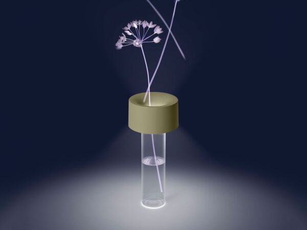 5_foscarini_fleur_t_green_211.jpg