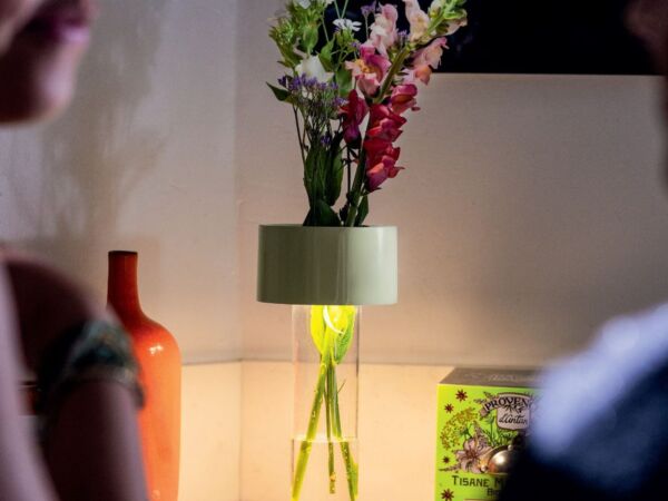 5_lampe-sans-fil-fleur.jpg
