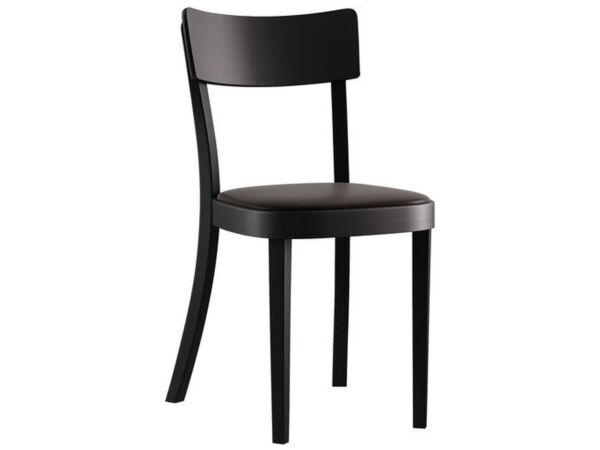 2_hêtre noir.jpg