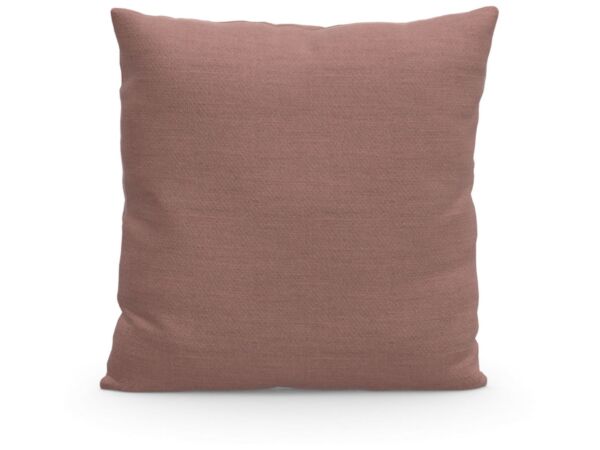 2_Rose tendre beige.jpg