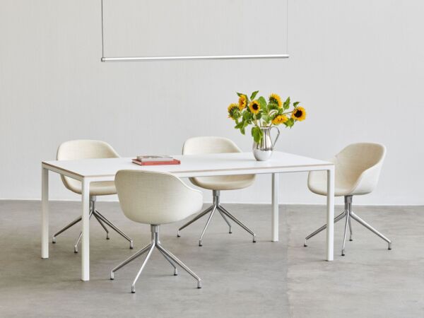 5_AAC 221 Remix 113 polished alu base_Factor Linear Suspension Lamp 1500 clear anodised alu_T12 Table white tabletop white base.jpg