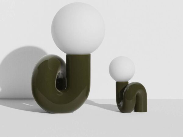 5_ampe-a-poser-neotenic-vert.jpg
