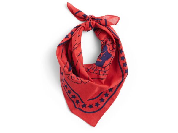 2_zAE930-D281-AB27_HAY Dogs Scarf Recycled red 01.jpg